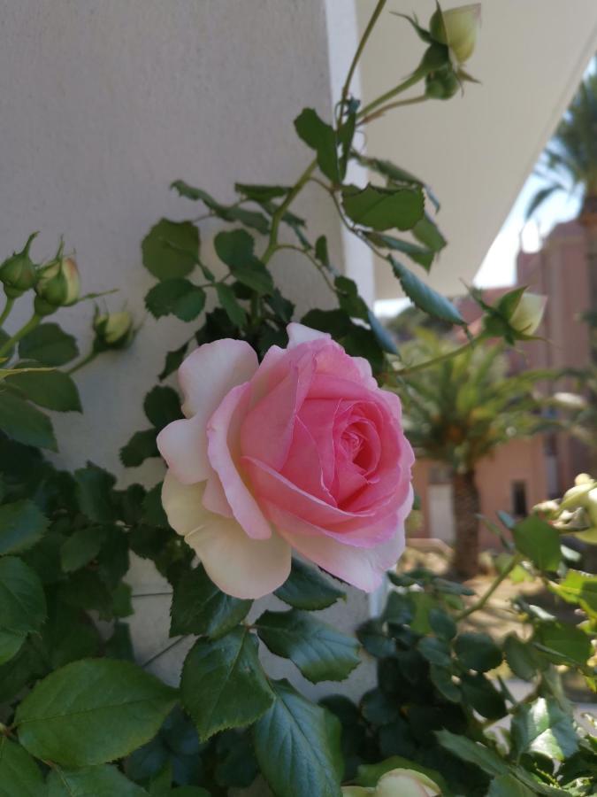 Ferienwohnung Ofdl B T1 Bandol - Briotine Foyalais Exterior foto