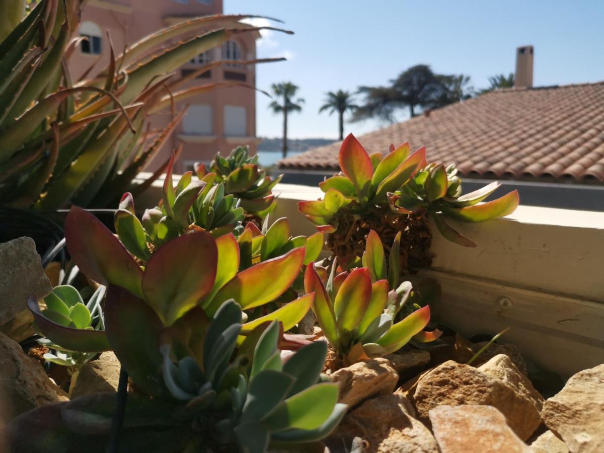 Ferienwohnung Ofdl B T1 Bandol - Briotine Foyalais Exterior foto