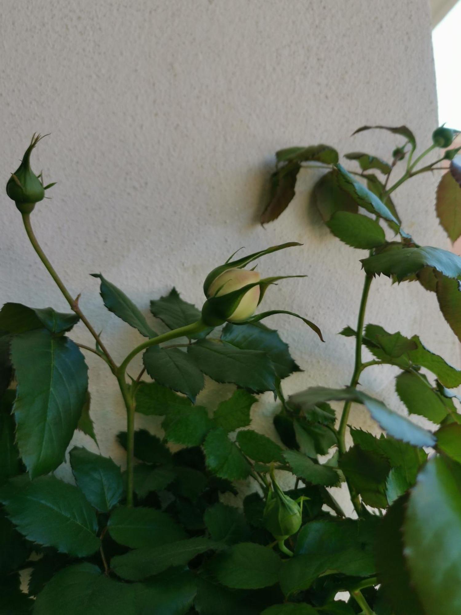 Ferienwohnung Ofdl B T1 Bandol - Briotine Foyalais Exterior foto